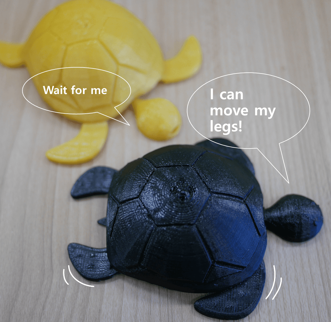 Turtle
